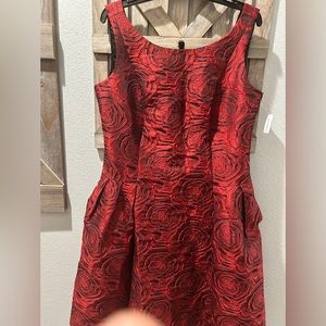 Woman’s elegant dress brand new with tags